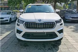 和大众汽车是兄弟，为什么斯柯达卖不动了？图片