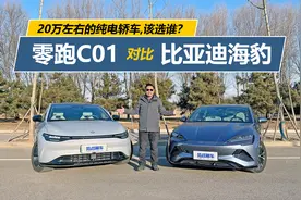 零跑C01 VS 比亚迪海豹，智能配置谁更高，开着到底啥区别视频封面