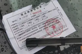 开车十年无扣分罚款，看喵哥是如何做到的，全都告诉你图片