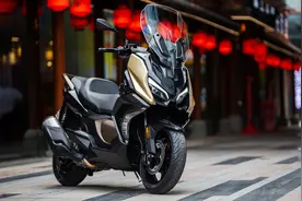 国产大踏板崛起，能否PK进口？图片