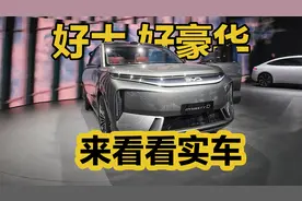 王朝网概念车Dynasty-D 太豪华了！