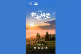 宗申野米预售价8680元起，比本田CUB便宜一大截，改装潜力大图片