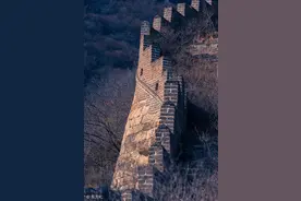 小说：穿越了怎么还是一个厨子啊图片