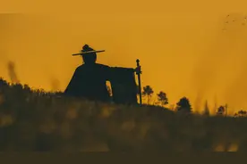 小说：落难千金借住叔叔家，受尽苛待，未婚夫王爷却派人为她撑腰图片