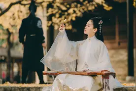 小说：皇后娘娘缠绵病榻，强撑着等待儿子的归来图片