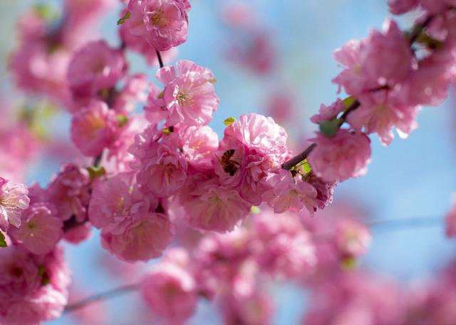 送给每个人的精致之书,让生活充满仪式感