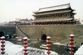 小说：你毋庸置疑，狗对主人的忠诚，绝对超过人与人之间的诚信。图片