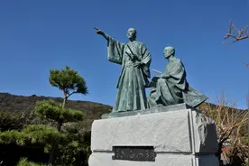 Lézard volant 飞蜥图片