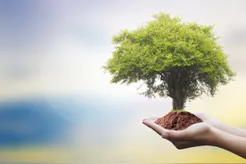 掌握阴阳五行变化，中医术语一点通图片