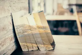 第十二章 唐·吉诃德与近代欧洲的悲喜剧图片