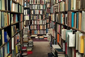 小说：小伙在游戏里捡到打狗棒，最低阶的武器到他手里，成大杀器图片