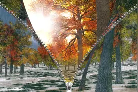 小说：网游：SSS级盗贼天赋，百分百偷取成功率图片