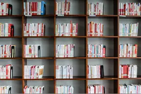 木心留给世人的“木心小说选”！从这本书中读尽漫长历史图片