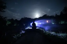 小说：末世囤货！我是选品专家！图片