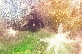 小说：灵气爆发，妖丹之力助林凡突破炼气五层图片