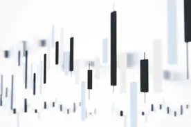 第二章 股东与出资人股东权益受法律保护图片