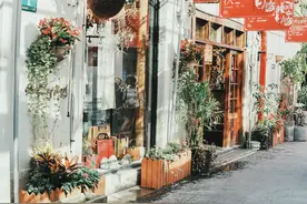 附录一：略谈《战争与和平》图片