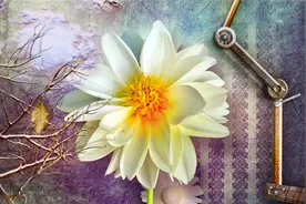 小说：倒数第一给倒数第二补课，越补越惨淡图片