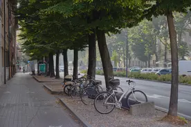 小说：少年意外收服流浪骷髅，升级后成为骷髅王，可召唤骷髅大军图片