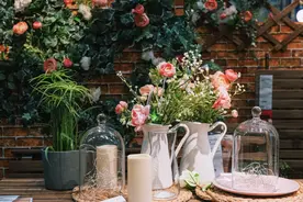 第三十九回 一粒金丹天上得 三年故主世间生图片