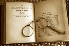 第四章 汴京浮华如梦烟 此花不与群花比图片