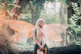 小说：提瑞斯法是世界的守护者可是他们也做了相反的事图片