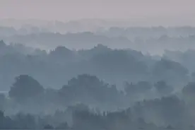 第3章 豆腐西施图片