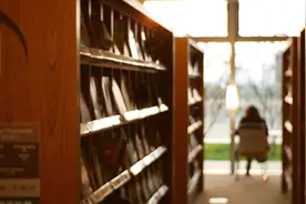 小说：意外来到恋与深空世界，马上就要打流浪体，求放过图片