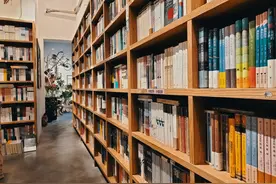 小说：我是东北人，我身上藏着蛟龙，哪知对面背后藏着狐狸图片