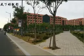 开学了 Vlog山东大学青岛美丽校园 喜迎新生3000 在校生达9400人视频封面