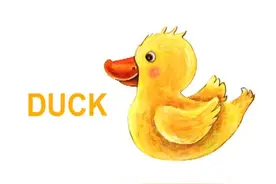简单易学的英语早教课程学习字母ABC—D是什么？“D”代表Duck