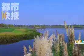 国庆好去处 西安鄠邑城西渼陂湖 秦汉遗迹盛唐美景视频封面