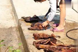 高压水流强力清洗舅妈家珍藏老腊肉，黑色油污脱离瞬间看着真过瘾