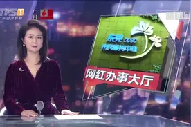 东莞市民服务中心试运行：公安业务一窗通办 全国首创视频封面