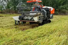 日本牌子久保田水稻收割机，我们技术与这台收割机差距有5年吗?