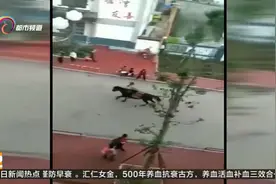 太拉风！家长骑马送娃上学，霸气外露下有市民担心这样做安全吗？视频封面