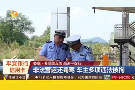 “湘K”小车车主驾驶证存异常，民警依法拦查该车！视频封面