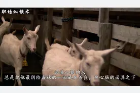 面善心狠的人，多半都有这3个特征！要看清，别再被骗了视频封面