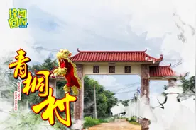 湛江 徐闻 美丽乡村青桐村视频封面