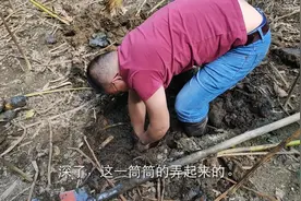 城里五六块一斤的莲藕，农村多的是，快来围观光谷老赵挖莲藕