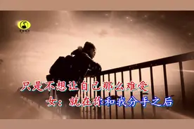 刘雨Key、Cecile恋 - 把孤独当作晚餐却难以下咽视频封面