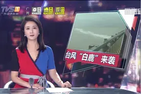 台风“白鹿”来了！汕头遇上10级风力，南澳大桥封桥禁行视频封面