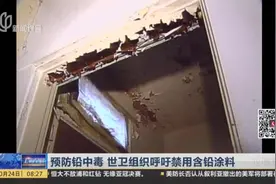 预防铅中毒  世卫组织呼吁禁用含铅涂料！视频封面