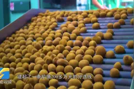 湖南十八洞村，有一群山东人，听听他们扶贫脱贫背后的故事视频封面