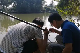 周末东莞华阳湖野钓，野货太多，晚上12点才收竿，这收获很惊人