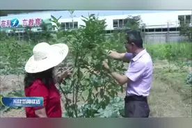 南平：引进台湾特色农业品种，建立闽台农业示范基地视频封面