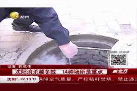 沈阳消灭越冬蚊，14种场所是重点，让越冬蚊子无处可逃！视频封面