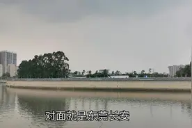 东莞长安与深圳松岗碧头只间隔一河，环境为何不一样呢？你知道吗视频封面