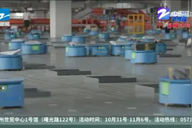 四通一达双11提速：长三角经济圈内揽收后72小时送达视频封面