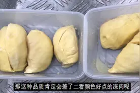 冻榴莲肉价差很大，因为冻肉分为ABC三个等级，成熟度也不一样视频封面